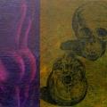 ANATOMIA V