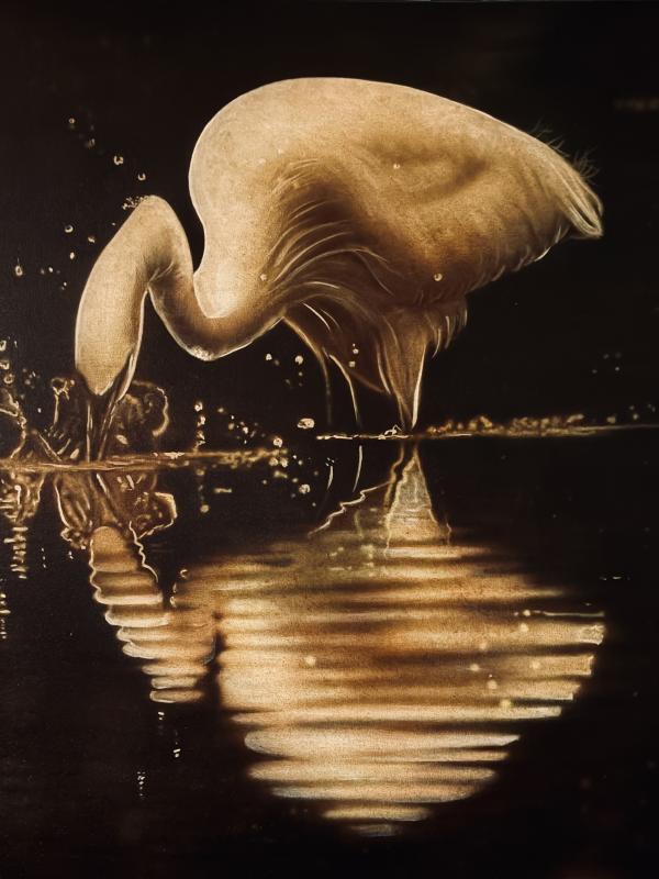 Aigrette garzette 1