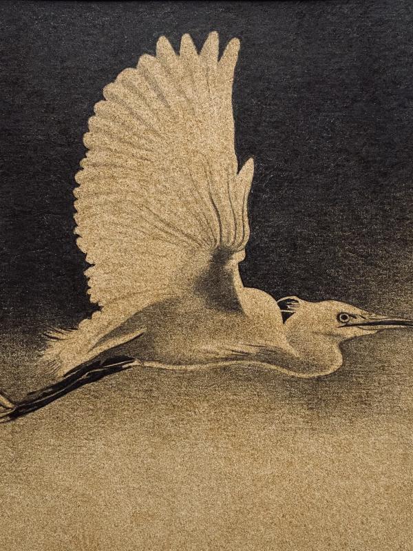 Aigrette garzette 3