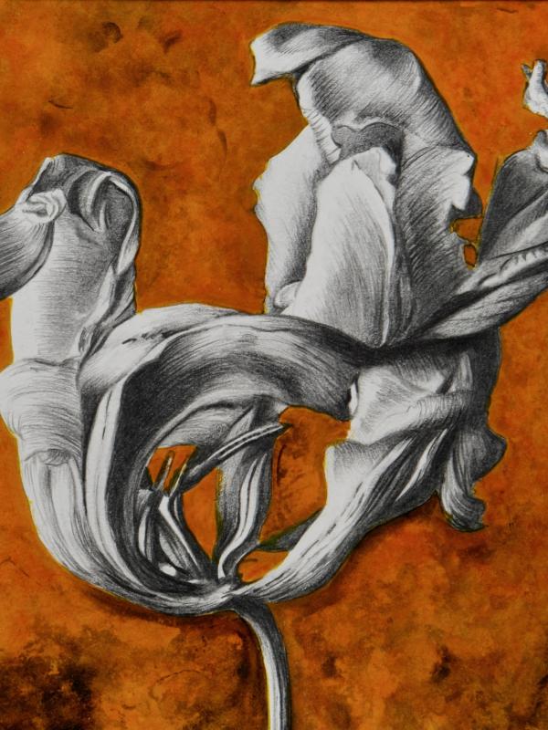 FLORE #2