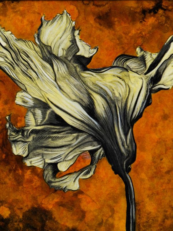 FLORE #3