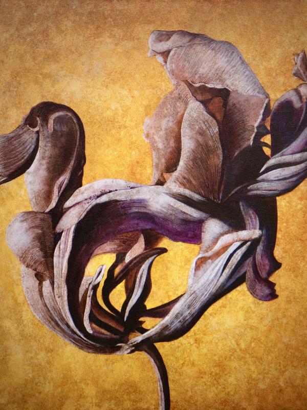 FLORE #8