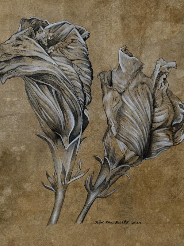 FLORES #5