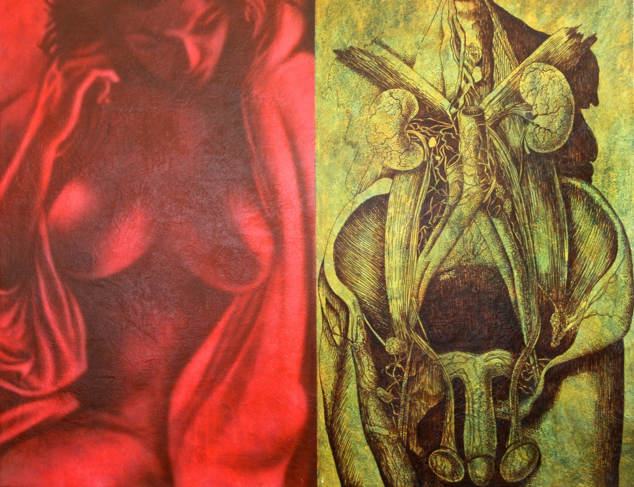 ANATOMIA 1
